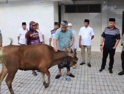 Bupati Jembrana Keliling Bagikan Hewan Kurban