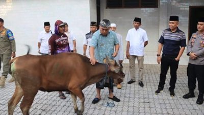 Bupati Jembrana Keliling Bagikan Hewan Kurban