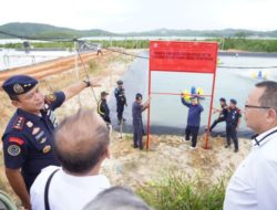 Langgar Aturan Berusaha, KKP Segel Usaha Tambak Udang