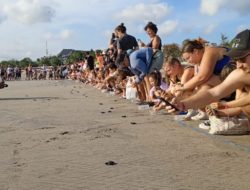 Peringatan HUT Ke-78 RI, Mercure Kuta Beach Bali Lepas Ratusan Tukik