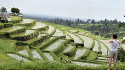 Indonesia Perkenalkan Subak di 2nd SCM 10th WWF