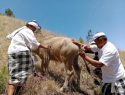 Umat Hindu Diajak “Mayasa Kerthi” Selama Karya Agung Danu Kerthi