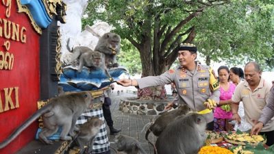 Wanaralaba Polres Buleleng di Pura Agung Pulaki