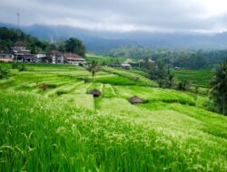 Fieldtrip Ubud, Tabanan, dan Karangasem Jadi Penutup Rangkaian World Water Forum Ke-10