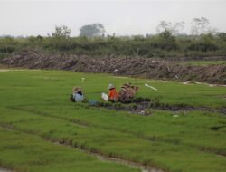 Badan Informasi Geospasial Diajak Terlibat Digitalisasi dan Modernisasi Pertanian RI