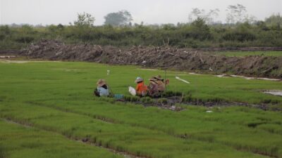 Badan Informasi Geospasial Diajak Terlibat Digitalisasi dan Modernisasi Pertanian RI