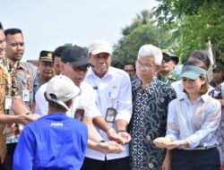 Bulog Cetak Rekor! Serap 725.000 Ton Gabah, Tertinggi dalam 10 Tahun